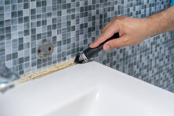 Best Basement Mold Remediation in Cutchogue, NY
